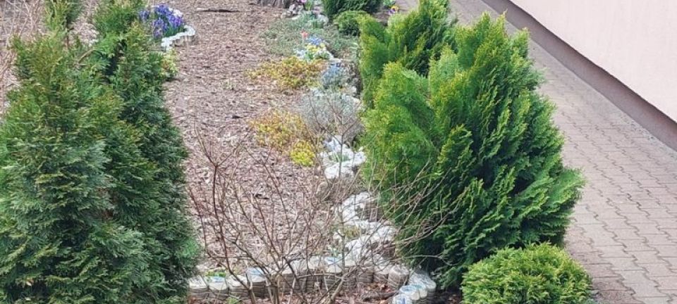 20220422_140239 (Kopiowanie)