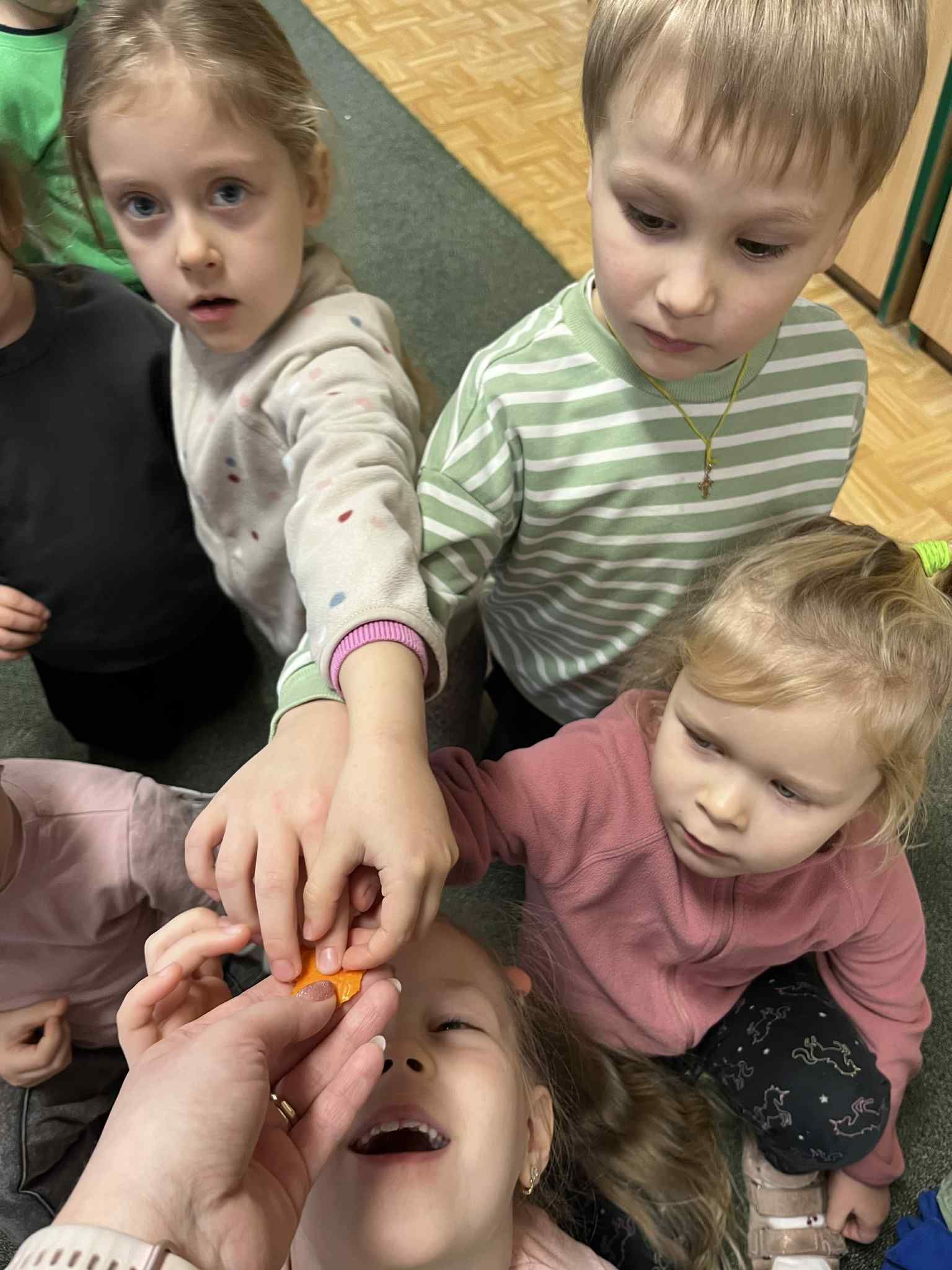 d5197b16-17b7-4fb5-a9a5-babf6d95e7aa