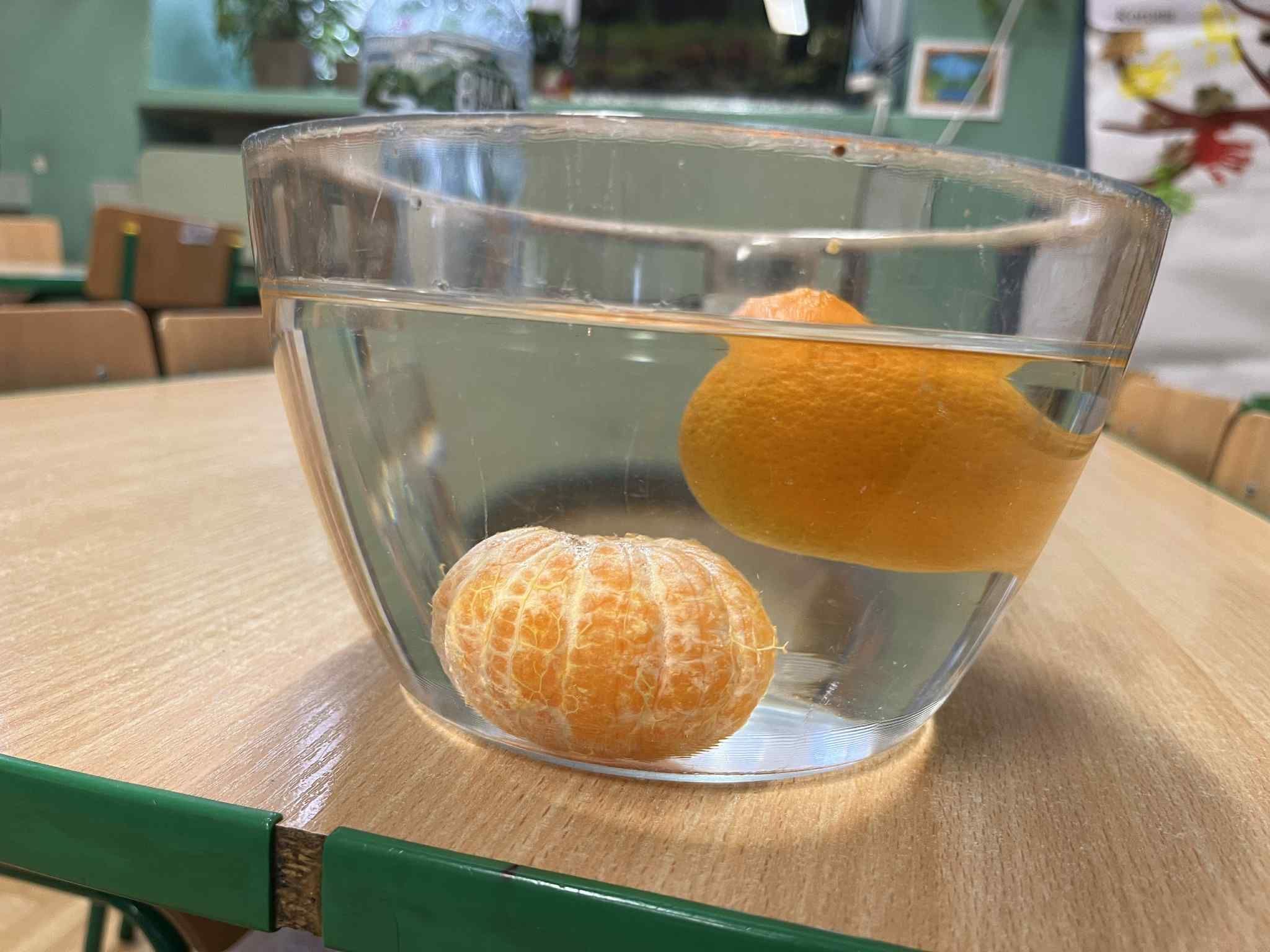 d5e010b7-b6ec-4fbd-90f9-b80901dfdee2