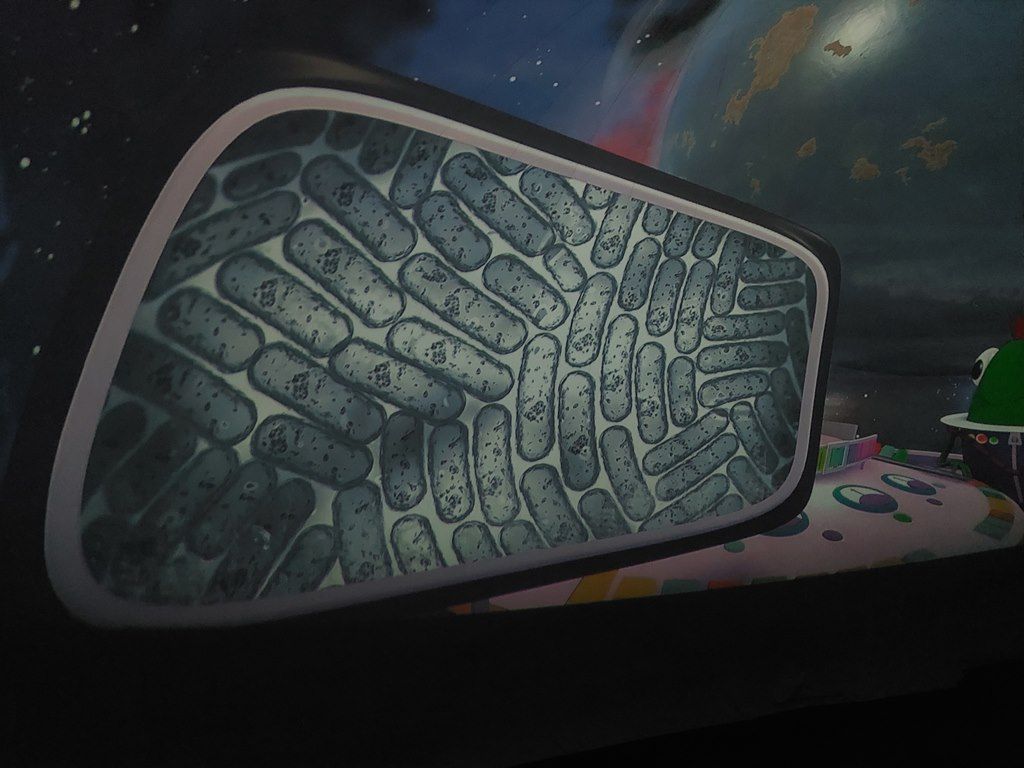 20260217_105725_1024x768