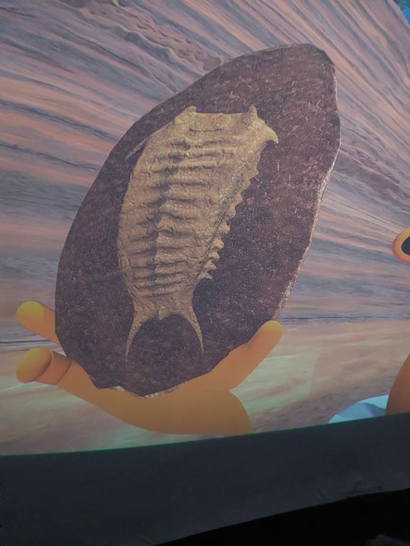 20260217_104835_1024x768