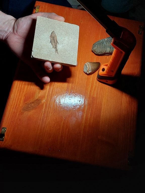 20260217_111246_1024x768