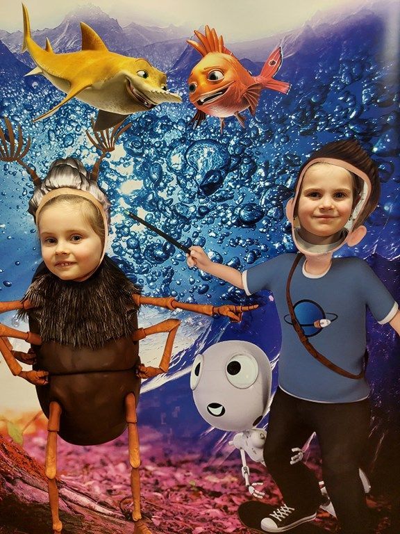 20260217_112513_1024x768