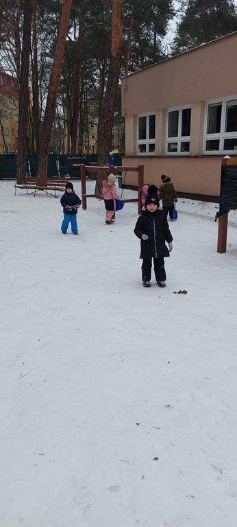 20260123_113842(0)_1024x462