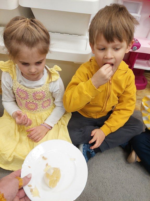 20260224_113704_1024x768