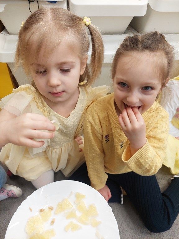 20260224_113432_1024x768