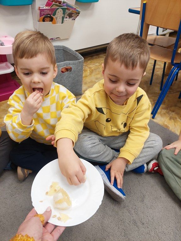 20260224_113655_1024x768