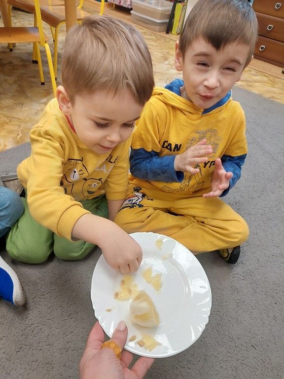 20260224_113632_1024x768