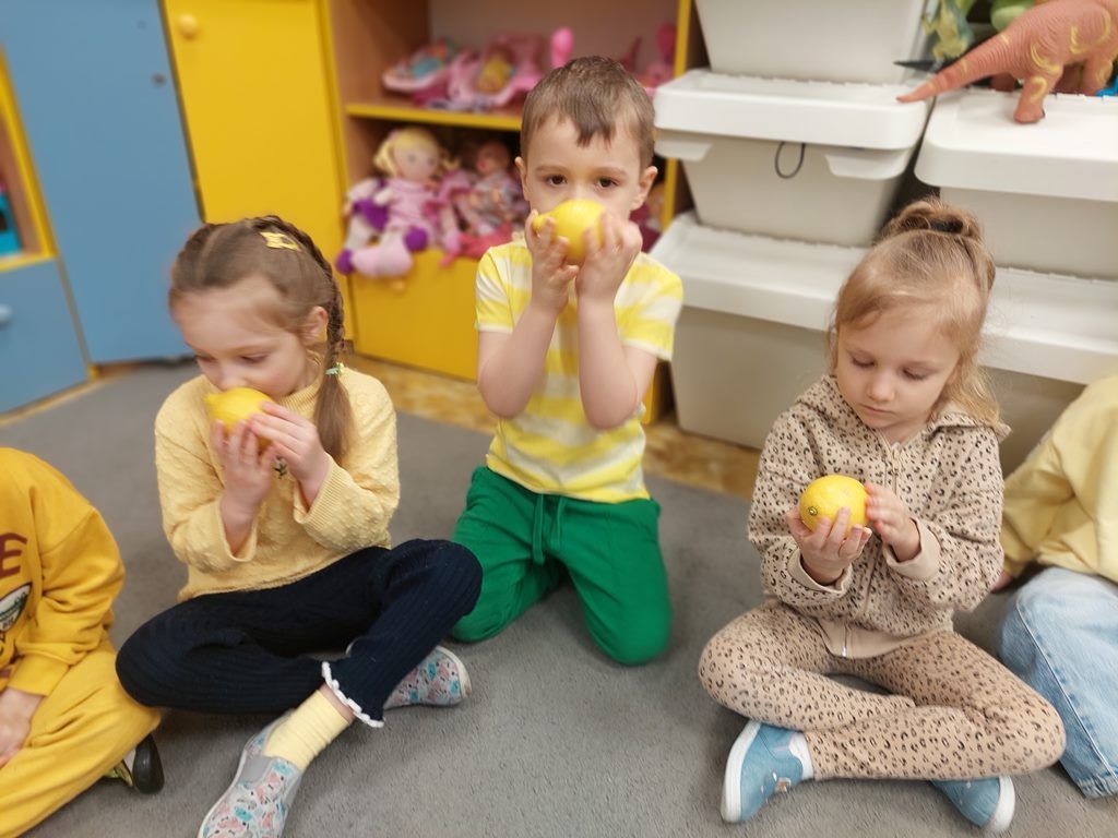 20260224_092843_1024x768