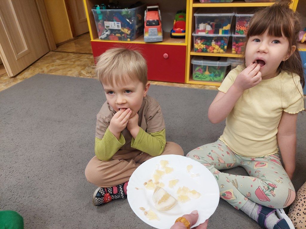 20260224_113527_1024x768