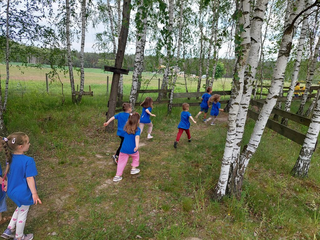 20260601_130207_1024x768