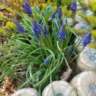 20230413_115153 (Copy)