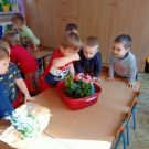 340050751_781072693206940_3683496245622804017_n