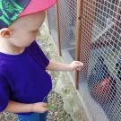 351518659_944521550161060_5990507113921166076_n