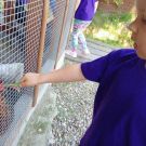 344789048_774061940838994_1339913533668156059_n