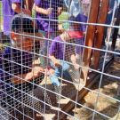 344899935_270281525383827_8934525428260983097_n