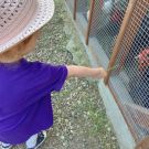 351140155_904771813923321_5298436838946882077_n