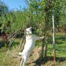 383720369_1439659236814259_6422413913568569793_n (1)