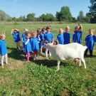 383796617_1000406481243331_7107114503046841449_n