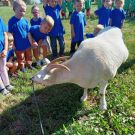 384071882_690656989599145_6637805647451146934_n