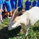 383350212_1994838997581486_6920477827334432097_n