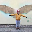 Messenger_creation_BC7490B5-5F5B-4381-98AD-EAB9C65F4B7B