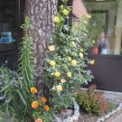 przedszkole wejście