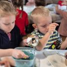 IMG-20241128-WA0036(1)