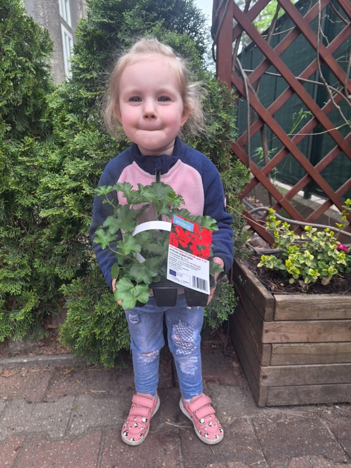 d917d6a1-82a4-491a-95fe-2313562df140