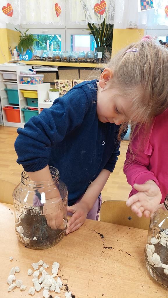 20250515_113515 (Copy)