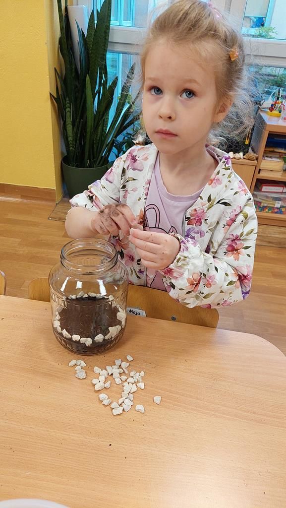 20250515_113457 (Copy)