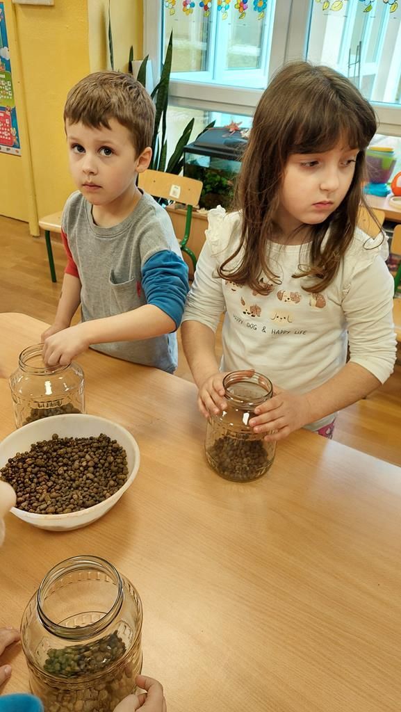 20250515_121612 (Copy)