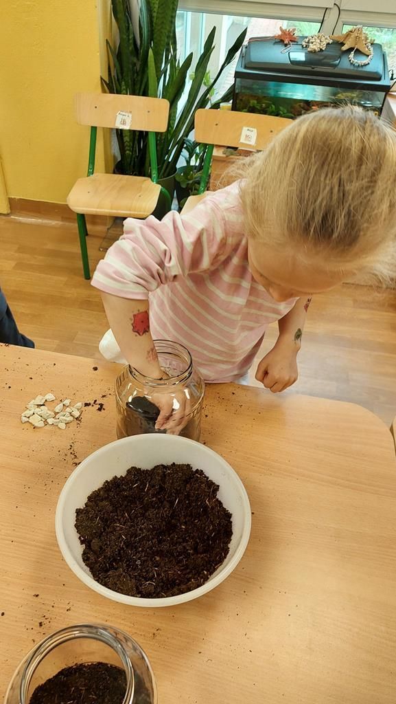 20250515_122214 (Copy)