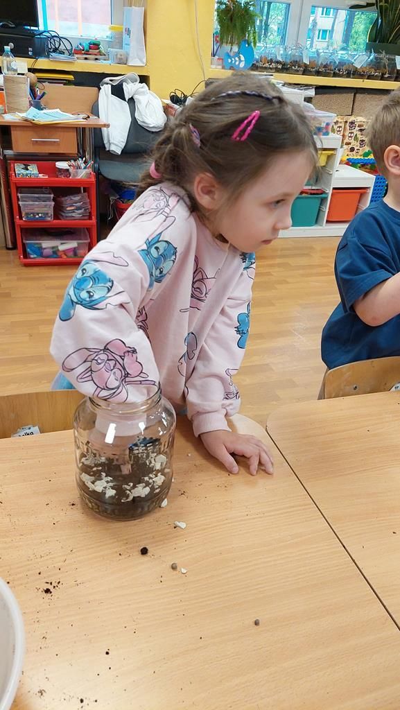 20250515_114006 (Copy)