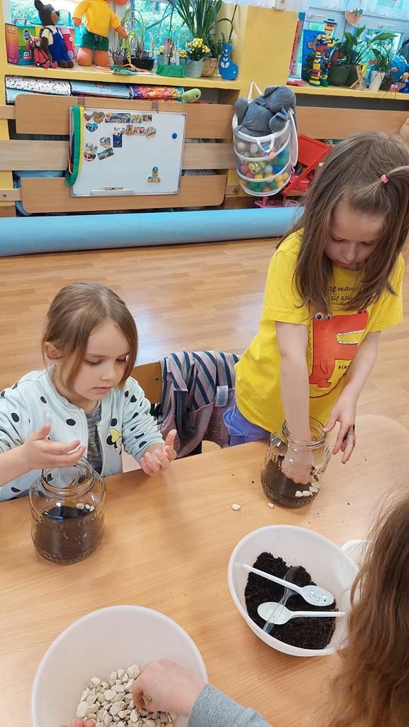 20250515_095238 (Copy)