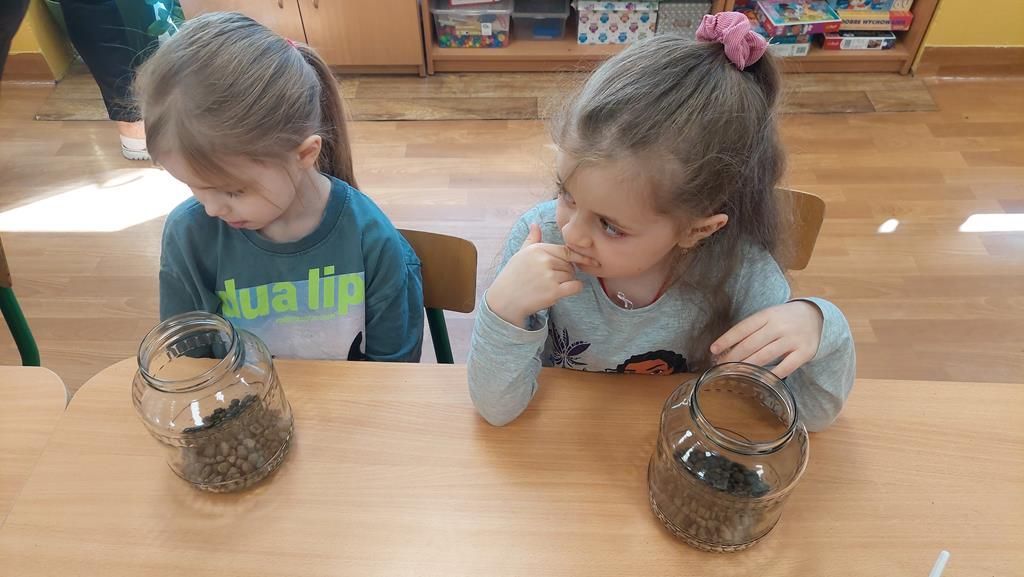 20250515_094151 (Copy)