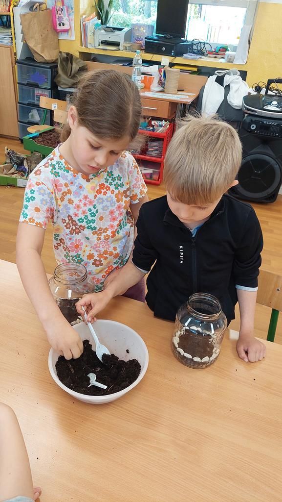 20250515_100149 (Copy)