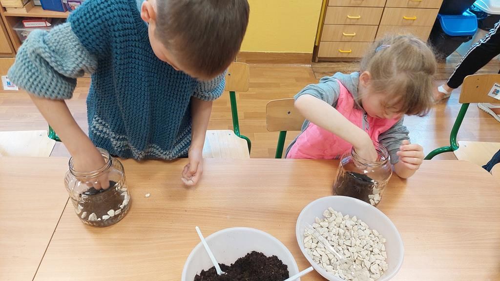 20250515_095305 (Copy)