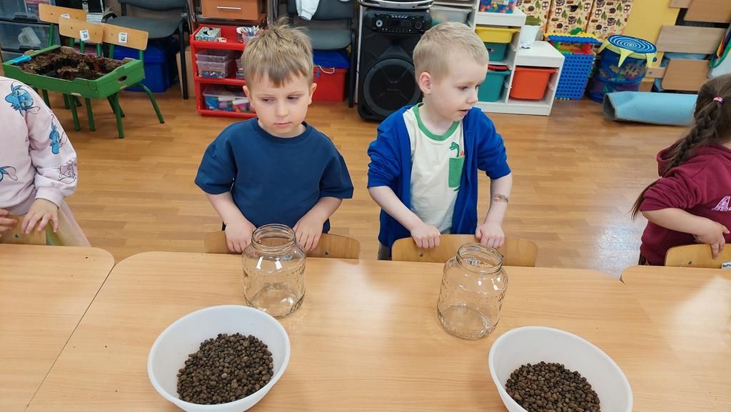 20250515_112102 (Copy)