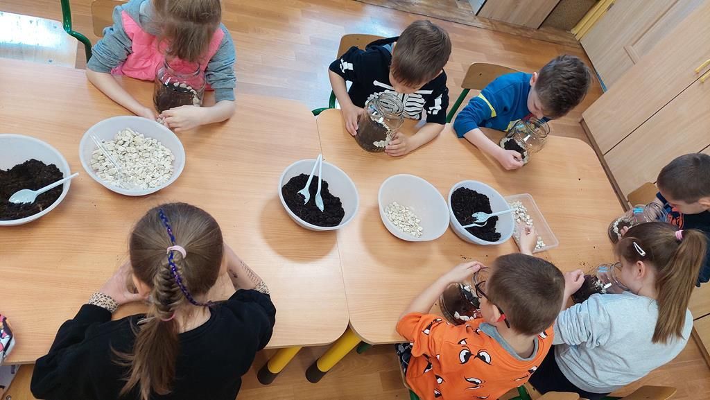 20250515_095347 (Copy)