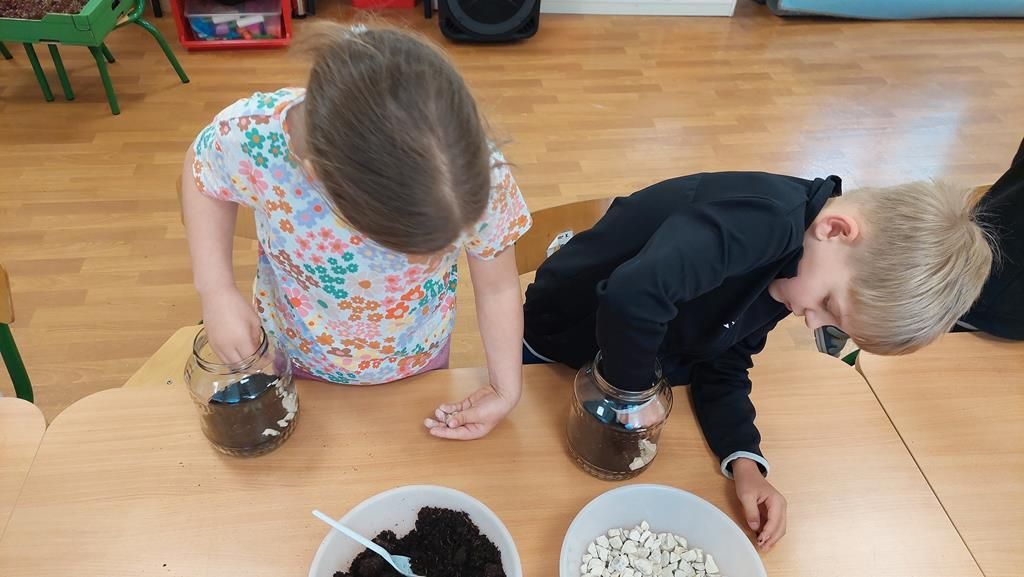 20250515_095219 (Copy)