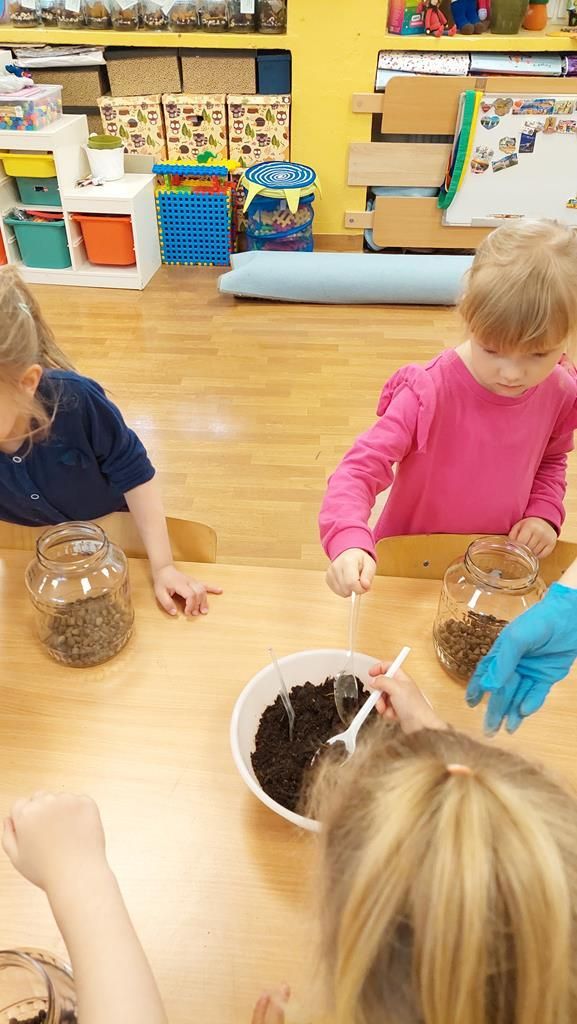 20250515_112508 (Copy)