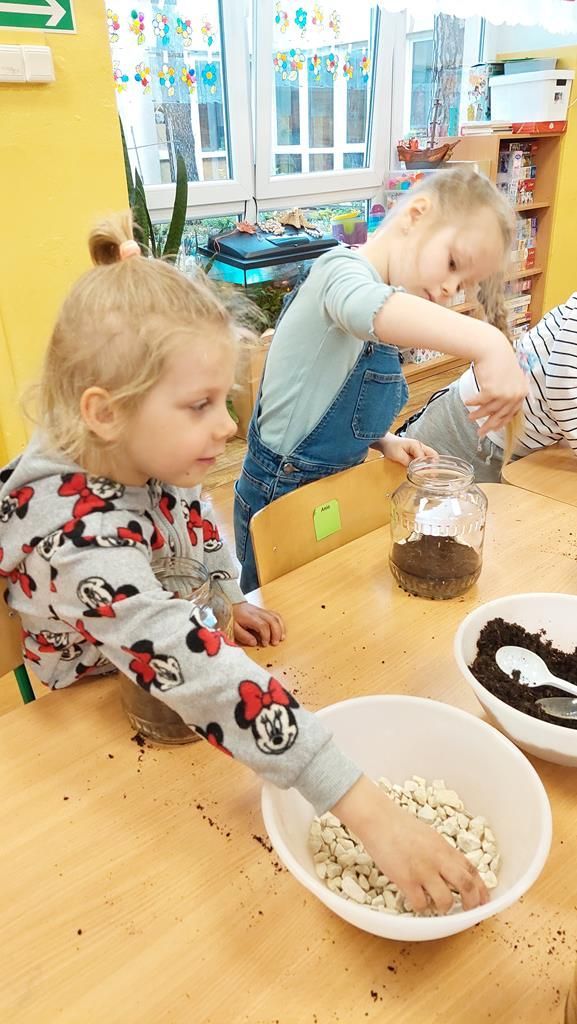 20250515_113051 (Copy)