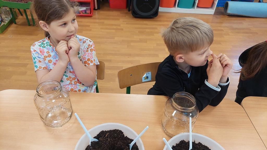 20250515_093431 (Copy)