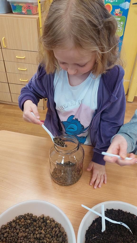 20250515_093955 (Copy)