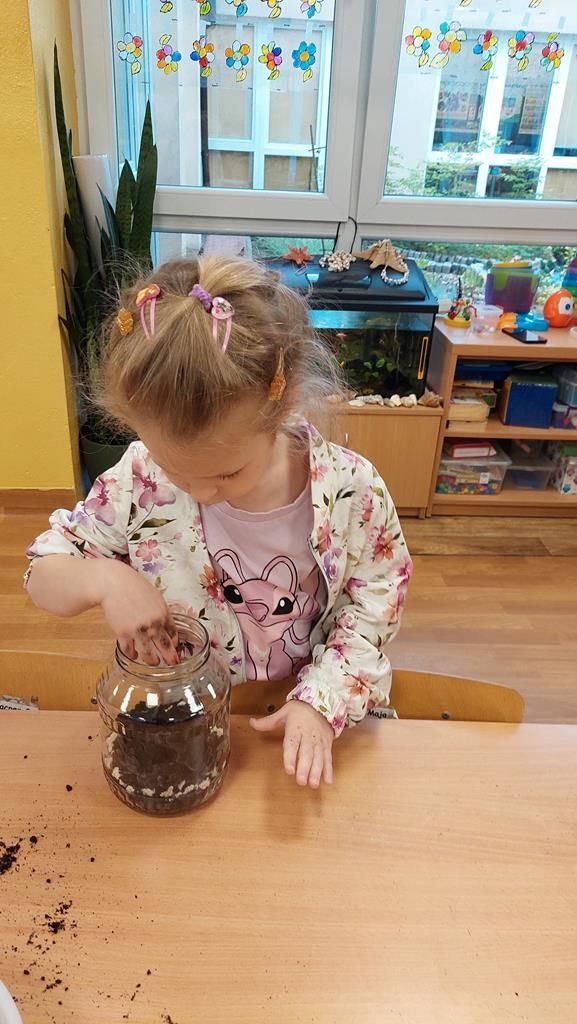 20250515_114045 (Copy)