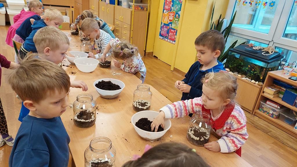 20250515_113901 (Copy)