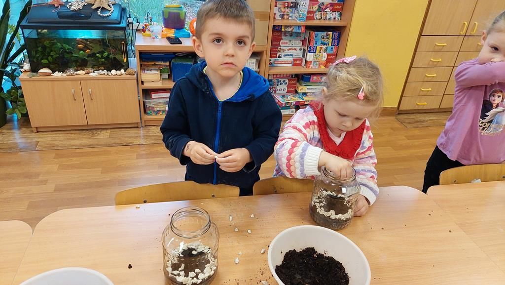 20250515_113919 (Copy)