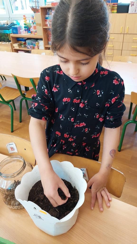 20250521_142809 (Copy)