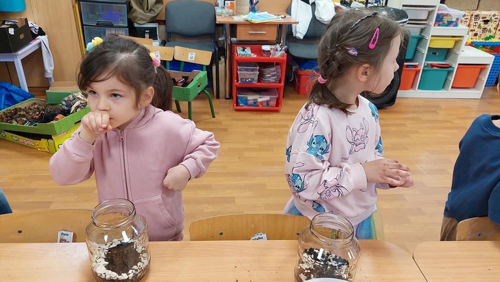 20250515_113931 (Copy)